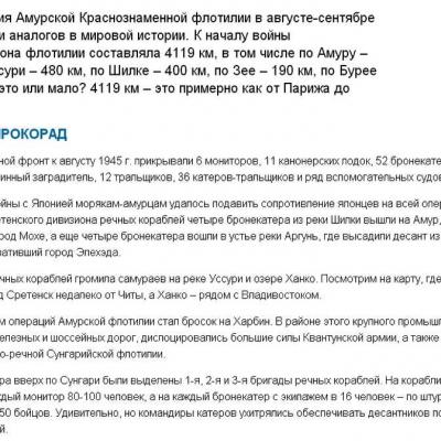 Боевые действия Амурской флотилии
